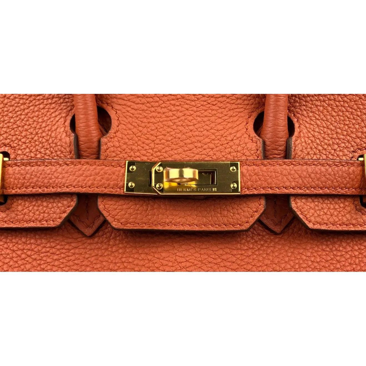Pre-owned Rare HERMES Birkin 25 Terre Battue Orange Togo Leather Bag - theREMODA